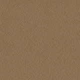 lx12.jpg
